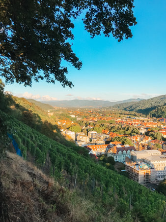 A beautiful view of a city with a blue sky and a tree in the foreground. The city is full of buildings and houses, and the hills are covered in vines. The scene is peaceful and sereneの写真素材
