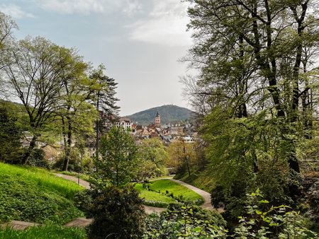 A path winds through a lush green forest with a view of a town in the distance. The trees are tall and leafy, creating a peaceful and serene atmosphereの写真素材