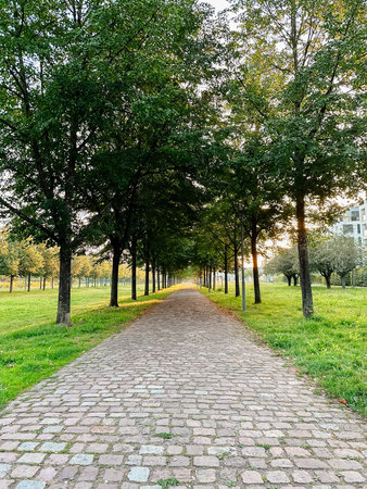 A path lined with trees and a brick walkway. Perfect for illustrating scenic, tranquil walks through nature or urban parks.の写真素材