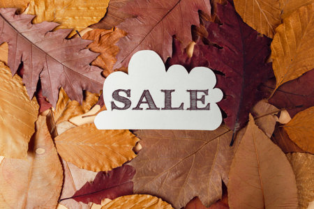 White sign with the word Sale written on it is placed on top of a pile of autumn leavesの写真素材