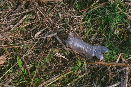 Bottle is laying on the ground in a field. The bottle is empty and has a plastic cap. The field is...