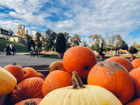 Basket full of pumpkins with a blue sky in the background. The pumpkins are orange and yellow, and the basket is overflowing with themの写真素材