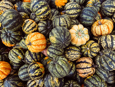 Pile of pumpkins with some of them being yellow and some of them being green. The pile is very large...