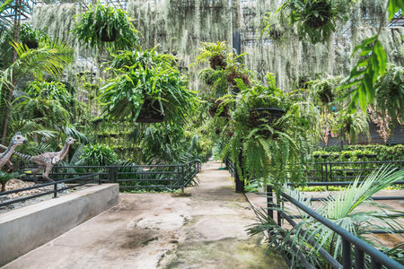 Path with plants and a statue of a dinosaurの写真素材