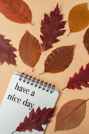 Notebook with a spiral binding is on a table with a variety of autumn leaves. The leaves are...