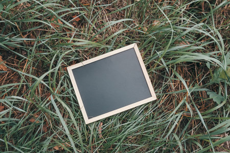 Blank chalkboard mock up placed on lush green grass, surrounded by natural elements, creating a...