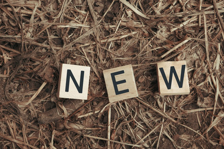 Pile of wood blocks with the letters new written on them. The blocks are arranged in a way that they spell out the word new in a creative and artistic mannerの写真素材