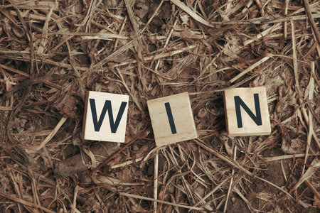Letter blocks forming the word win are placed on a textured surface of dried grass and leaves, creating a rustic and motivational sceneの写真素材