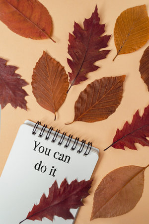 Colorful autumn leaves surround a notebook featuring an uplifting message, creating a warm and...
