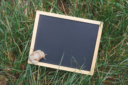 Black chalkboard is placed on the grass, with a small slug sitting on top of it. The chalkboard is...