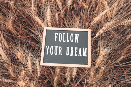 Sign that says Follow Your Dream is placed in a field of tall grass. The sign is surrounded by the grass, making it stand out and appear as if it is a part of the natural environmentの写真素材