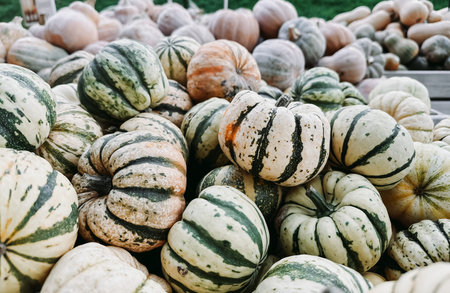 Pile of pumpkins with stripes and spots. The pile is full of pumpkins and they are all different...