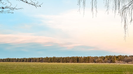A vast green field stretches beneath a calm sky filled with soft pastel colors, bordered by a dense...