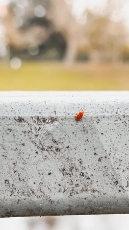 A vibrant red ladybug is resting on a metallic railing, surrounded by soft blurred greenery,...