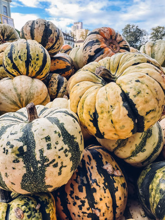 A variety of striped pumpkins in different sizes and colors are stacked together, creating a vibrant...