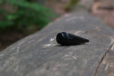 Black decoration lies on a wooden log in the forest