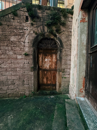 Rustic wooden door framed by aged stone wall, surrounded by greenery, creating a charming and...
