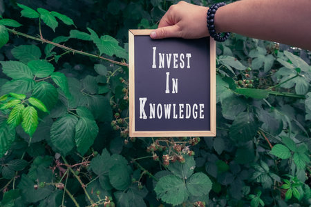 A hand is holding a wooden-framed sign displaying the phrase Invest In Knowledge, surrounded by vibrant green leaves and plants, creating a natural and inspiring atmosphere for learningの写真素材
