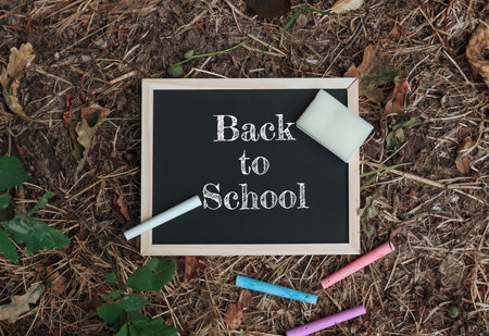 Chalkboard with the words back to school written on it. There are also some chalk sticks on the...