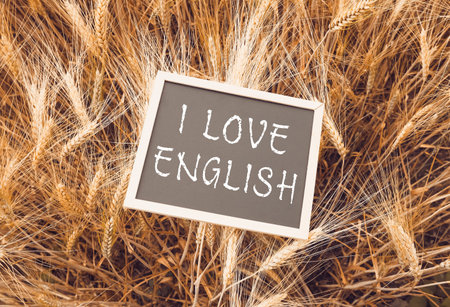 Chalkboard sign displaying the phrase I Love English is placed amidst a golden wheat field,...