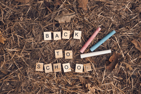 Back to school is written on the ground with chalk. The chalk is scattered around the letters, and...