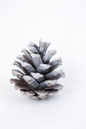 Close-up of a pine cone showcasing its intricate scales and natural hues against a bright white...