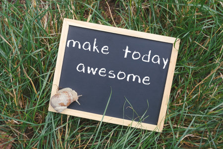 Inspirational chalkboard sign displaying motivational phrase in grass, accompanied by a snail shell,...