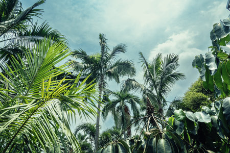 Tropical plants with palm trees and lush green leaves are set against a cloudy sky, providing a...