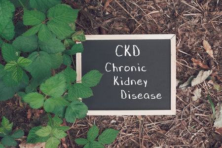 Chalkboard sign features CKD and Chronic Kidney Disease, set amidst lush green plants, highlighting...