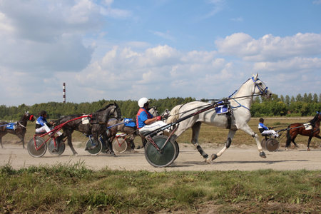 Russia, Novosibirsk, 24.08.2019: horses at competitions harnessed to a carriage for running on the racetrack with ridersのeditorial素材