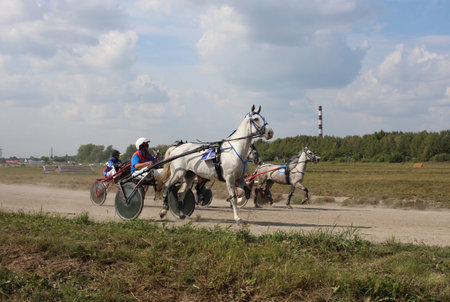Russia, Novosibirsk, 24.08.2019: horses at competitions harnessed to a carriage for running on the racetrack with ridersのeditorial素材