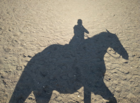 reflection on the sand a man riding a horse silhouette riderの写真素材