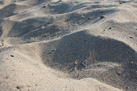 sand on the beach beach with dune rough natural background of stones