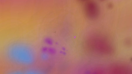 the abstract colors and blurred   background texture for multiple uses.