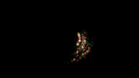 abstract fractal on black background a computer-generated 2D illustration