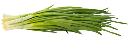 young green onions isolated on white backgroundの写真素材