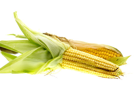A Corn cob isolated on white background