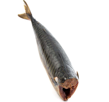 Smoked mackerel isolated on white backgroundの写真素材
