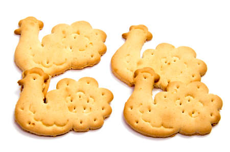 Salted cracker isolated on over white backgroundの写真素材