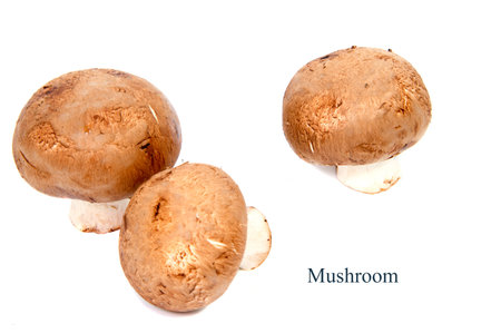 Set Champignon mushroom isolated on white background.の写真素材