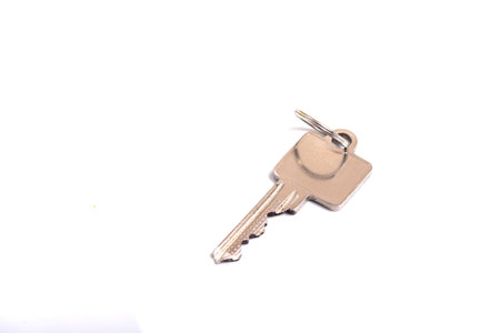 details of key ring with various door and car keys against a white background,