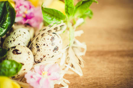 Easter Composition of Easter quail eggs in the nest with spring flowers and foliage on the wooden background. Soft focus.の写真素材