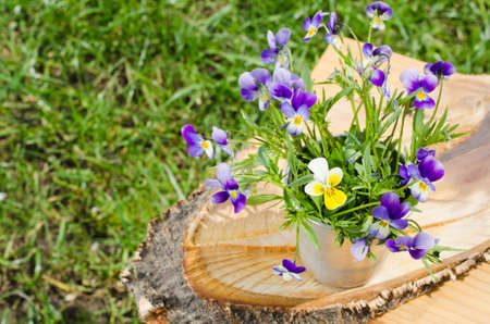 Spring flowers. Bouquet of spring flowers in a vase on a cut tree. Card with spring flowers. Sunny day. Selective focus.の写真素材