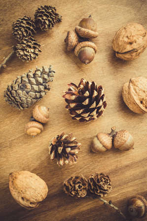 Acorn, walnut and cone on wooden table. Autumn concept.の写真素材