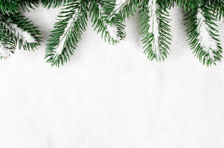 Snow-covered branches of a Christmas tree on the snow