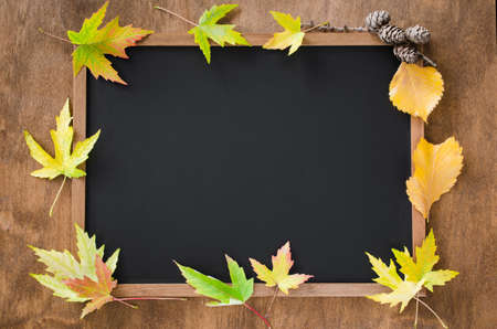 Autumn background with fall leavesand and cones on wooden table. Black chalkboard in center with copy space for your text. Cozy Autumn Still Life. Back to School Concept. Top viewの写真素材