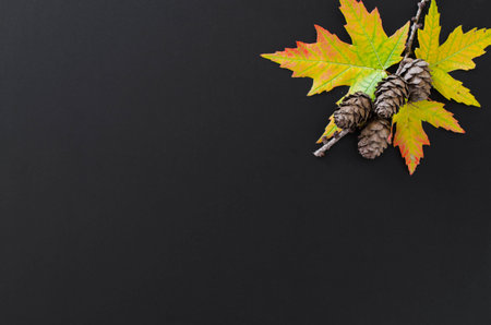 Autumn background with fall leavesand and cones on wooden table. Black chalkboard in center with...
