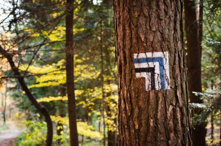 Marking the tourist route painted on the tree. Travel route sign. Season of the autumn.の写真素材