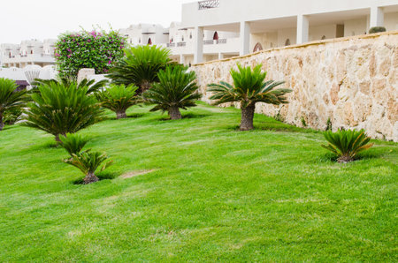 Hotel with well-groomed territory. Footpath between green grass in territory of five star hotel. Beautiful lawn with grass and beautiful flowers of landscape design at hotel park territori.のeditorial素材