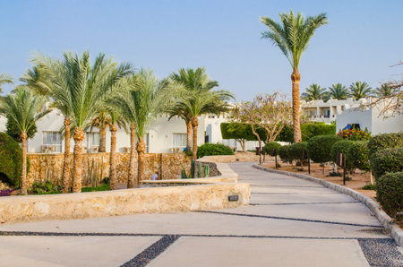 Well-groomed park territory of five star hotel in Sharm El Sheikh.